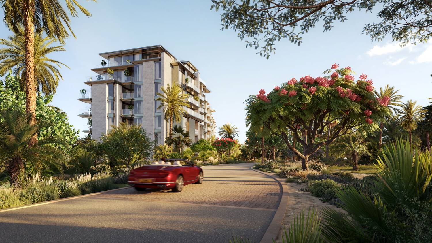 Solaya Architecture 3